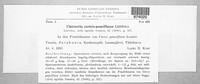 Anthracoidea caricis-pauciflorae image